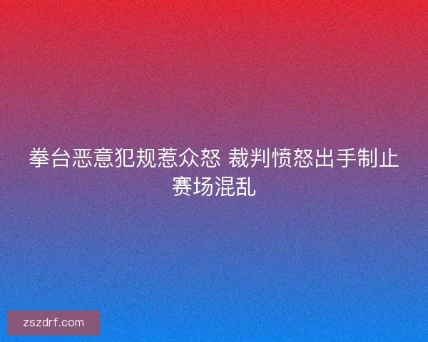 拳台恶意犯规惹众怒 裁判愤怒出手制止赛场混乱