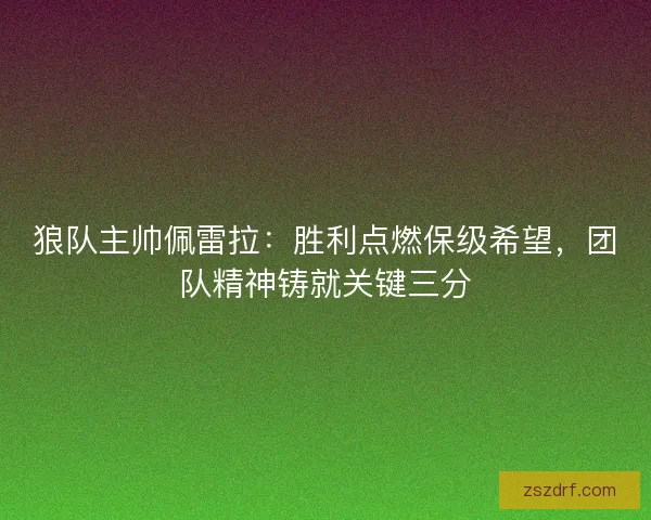 狼队主帅佩雷拉：胜利点燃保级希望，团队精神铸就关键三分