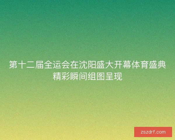 第十二届全运会在沈阳盛大开幕体育盛典精彩瞬间组图呈现