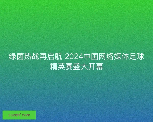 绿茵热战再启航 2024中国网络媒体足球精英赛盛大开幕