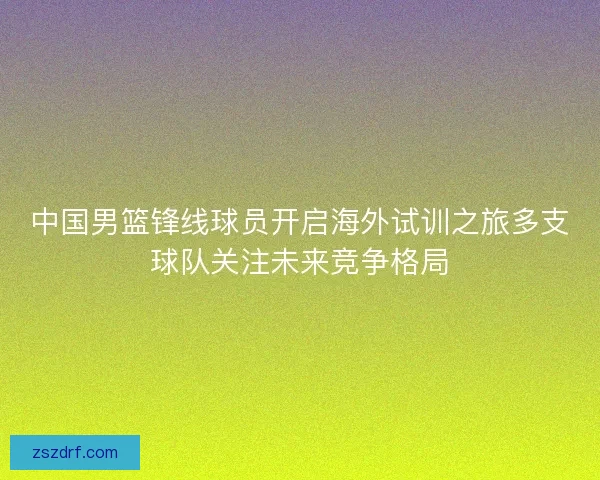 中国男篮锋线球员开启海外试训之旅多支球队关注未来竞争格局