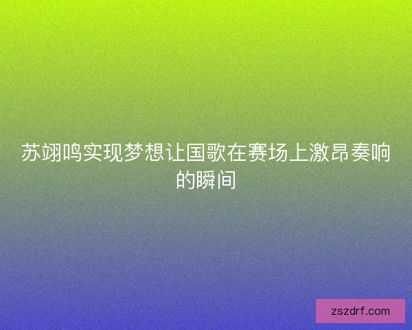 苏翊鸣实现梦想让国歌在赛场上激昂奏响的瞬间