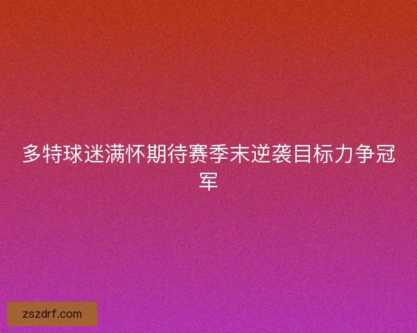 多特球迷满怀期待赛季末逆袭目标力争冠军 多特球迷满怀期待赛季末逆袭目标力争冠军